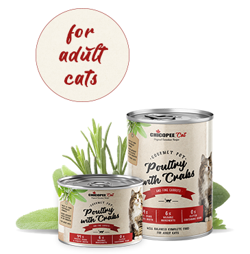 Chicopee Cat Adult Gourmet pot Poultry & Crabs